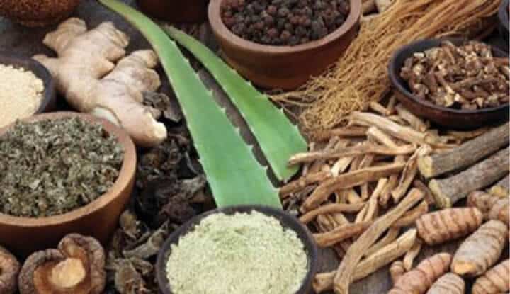 Curso de Ayurveda