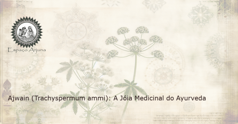 A imagem mostra a planta Ajwain, com folhas, flores e sementes, numa representação realista, contra um fundo de pergaminho claro.