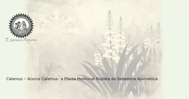 A imagem mostra a planta Calamus (Acorus Calamus) em um cenário bucólico de jardim, evocando as propriedades pacíficas e curativas da planta.