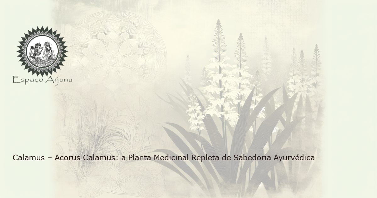 A imagem mostra a planta Calamus (Acorus Calamus) em um cenário bucólico de jardim, evocando as propriedades pacíficas e curativas da planta.