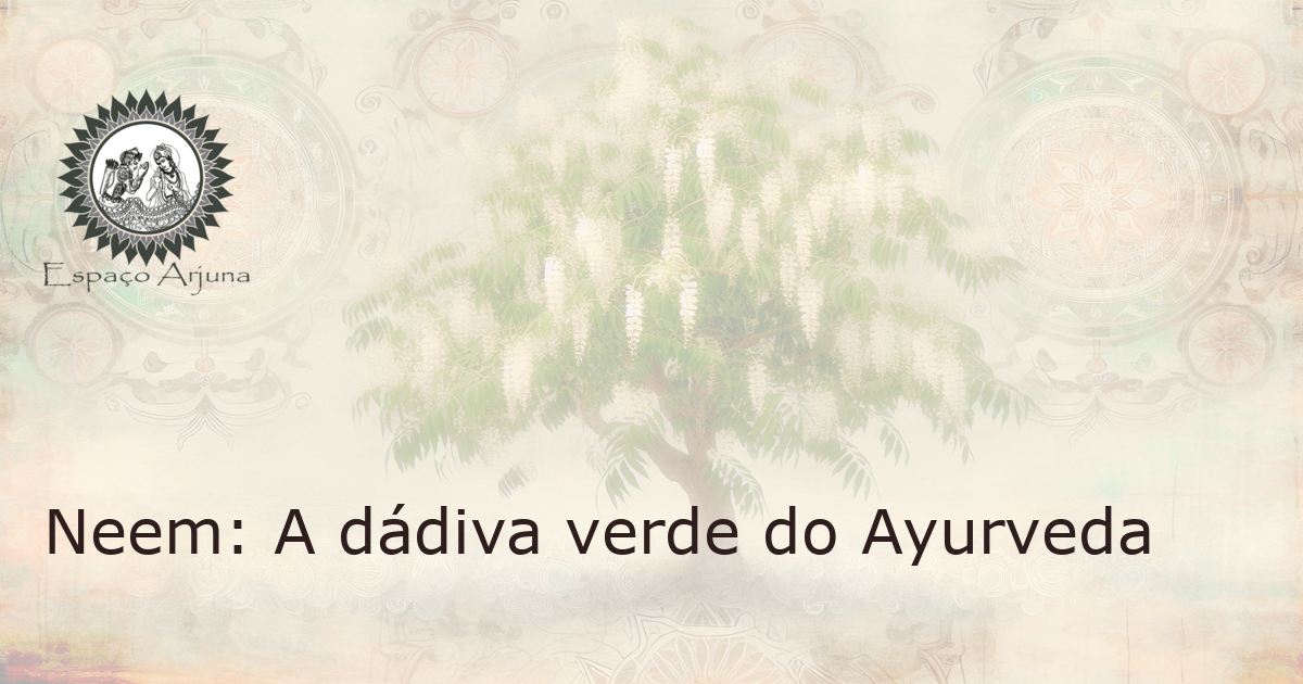 Imagem de uma bela árvore de Neem (Azadirachta indica) em plena floração