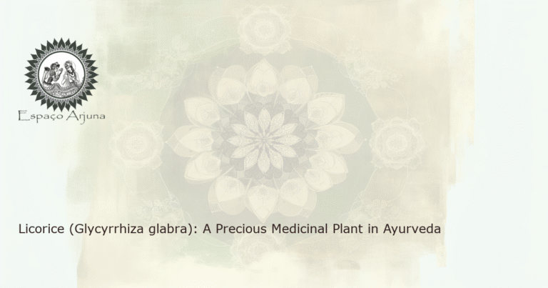 Realistic image of the licorice plant (Glycyrrhiza glabra), its root, and some of its Ayurvedic preparations