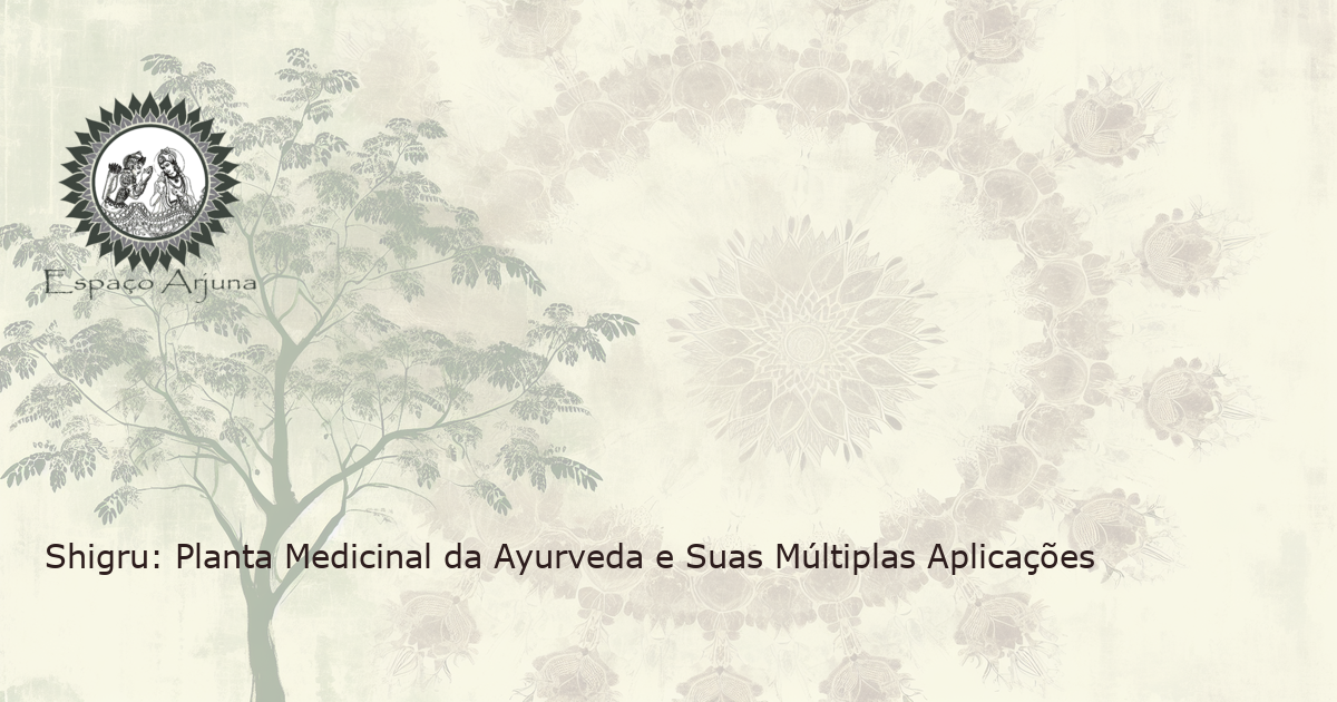 Imagem realista da Árvore Moringa oleifera com galhos florescentes e folhas