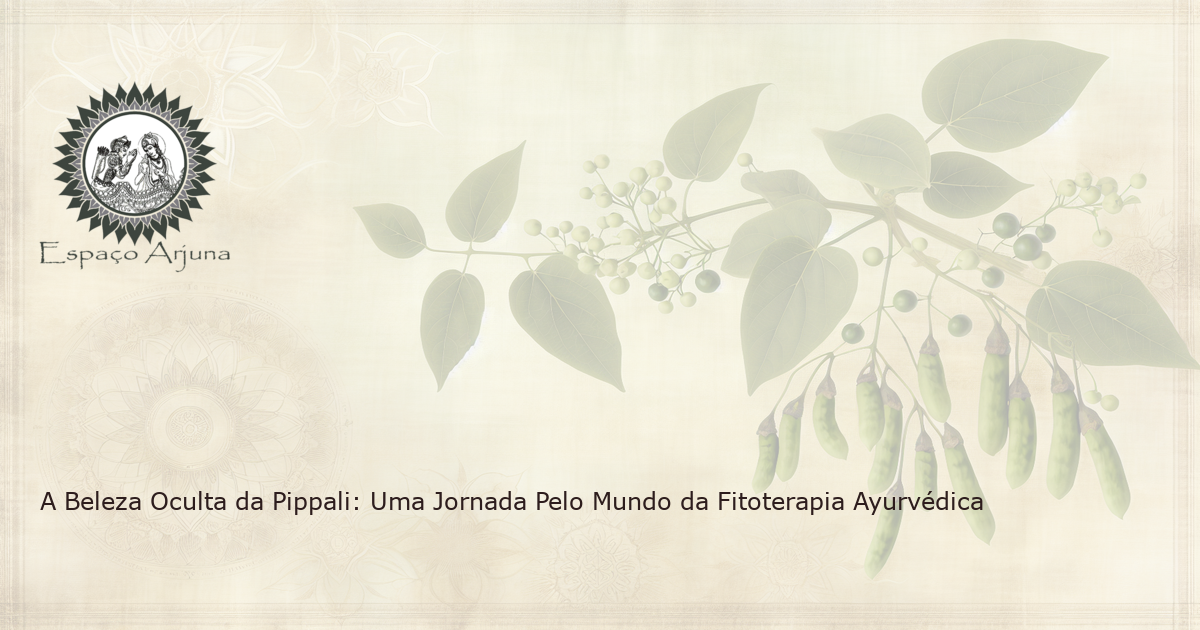 Ilustração realista da planta Pippali (Piper longum).