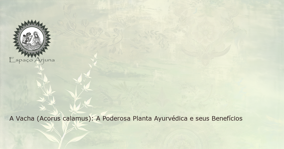 Illustration of the medicinal plant Acorus calamus, also known as Vacha in Ayurvedic medicine.