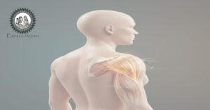 Diagrama clínico sobre capsulite adesiva e Avabāhuka mostrando rigidez e limitação de movimento.