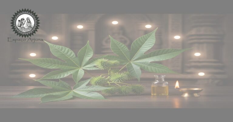 Folha, cápsulas e sementes de eraṇḍa (Ricinus communis) — óleo e manejo tradicional.