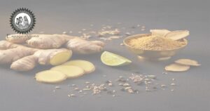 Rizoma de gengibre fresco mostrando textura e cor