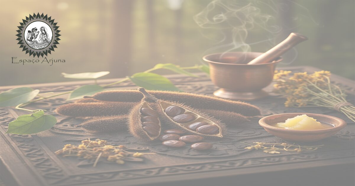 Sementes e vagens de kapikacchu (Mucuna pruriens) em preparação tradicional