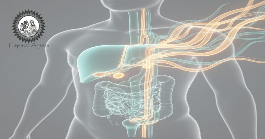 Diagrama comparativo sobre colecistite segundo medicina ocidental e Ayurveda