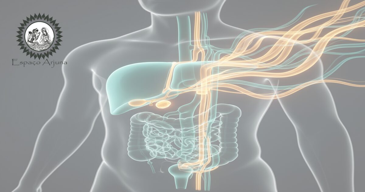 Diagrama comparativo sobre colecistite segundo medicina ocidental e Ayurveda
