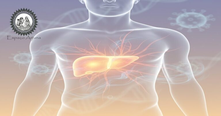 Ilustração do fígado e conceitos ayurvédicos relacionados a pitta na hepatite C crônica.
