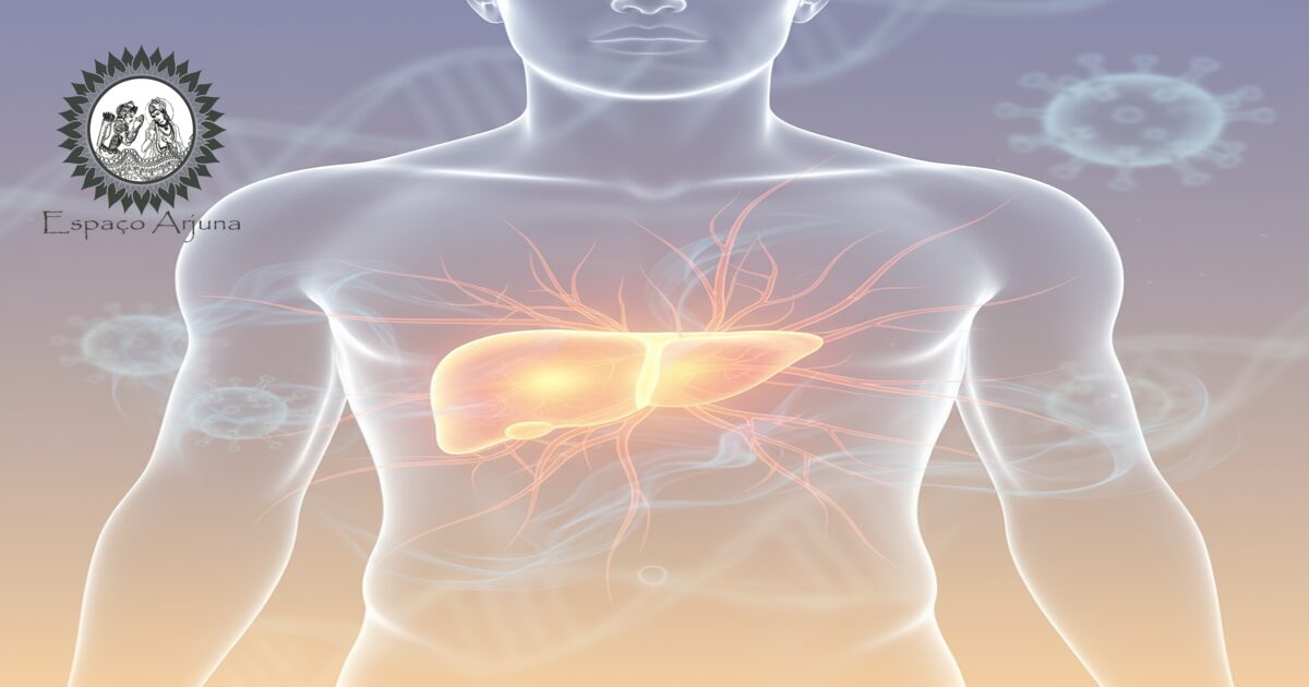 Ilustração do fígado e conceitos ayurvédicos relacionados a pitta na hepatite C crônica.