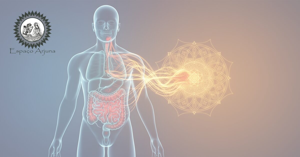Conceito ilustrativo sobre crohn e categorias do Ayurveda
