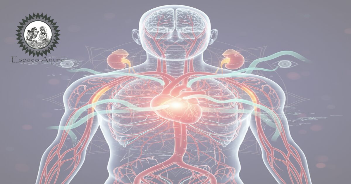 Ilustração dos srotas comprometidos pela hipertensão e influência dos doṣa