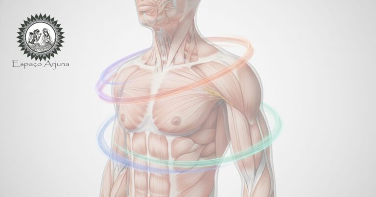Ilustração do ombro destacando o manguito rotador e estruturas envolvidas