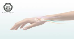 Ilustração anatômica do túnel do carpo com destaque no nervo mediano e áreas de compressão